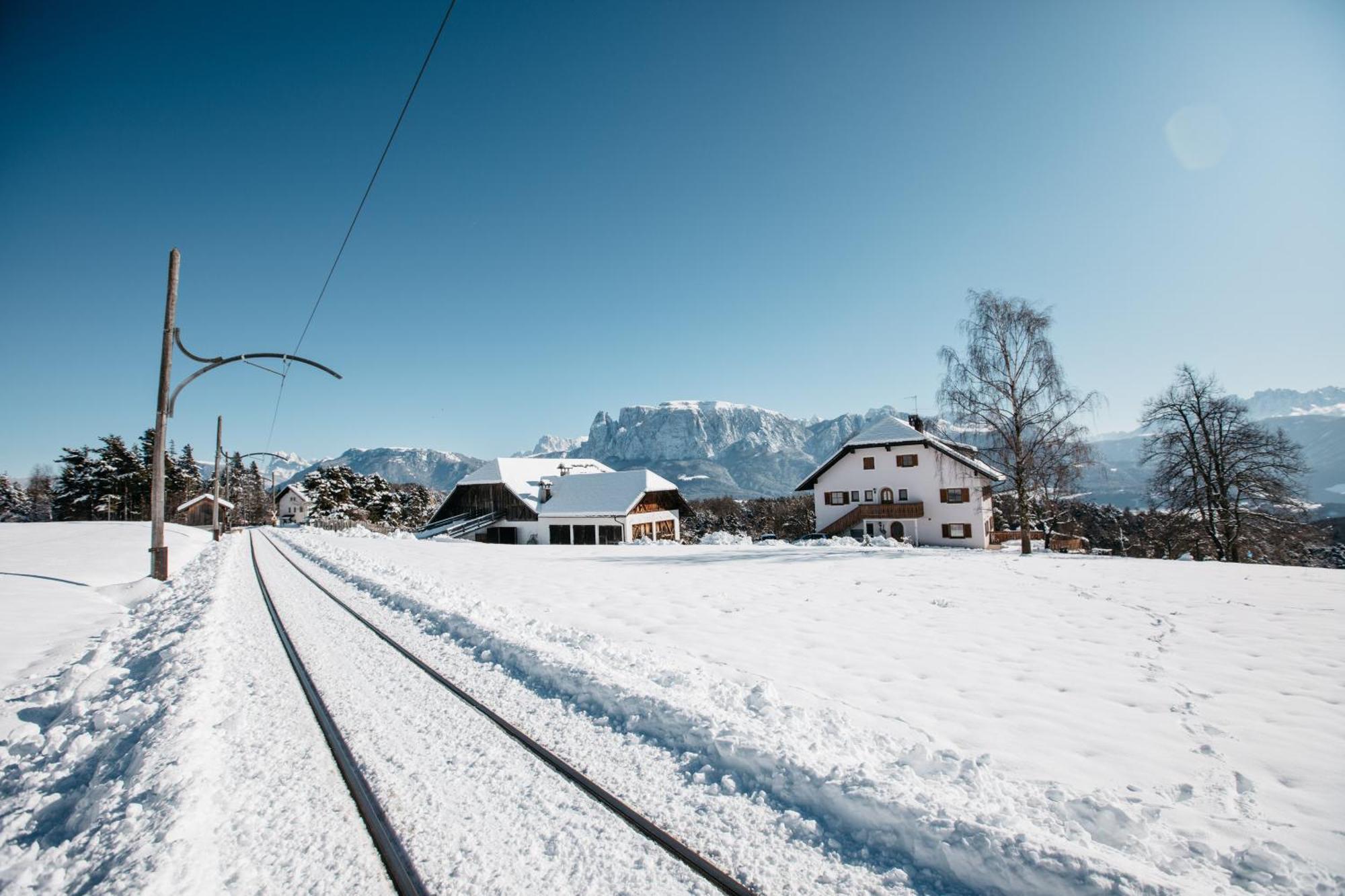 Alpin Farm Birke - Oberweidacherhof Collalbo Buitenkant foto